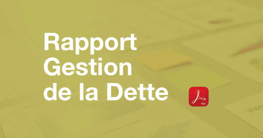 Rapport de Gestion de la Dette 2019